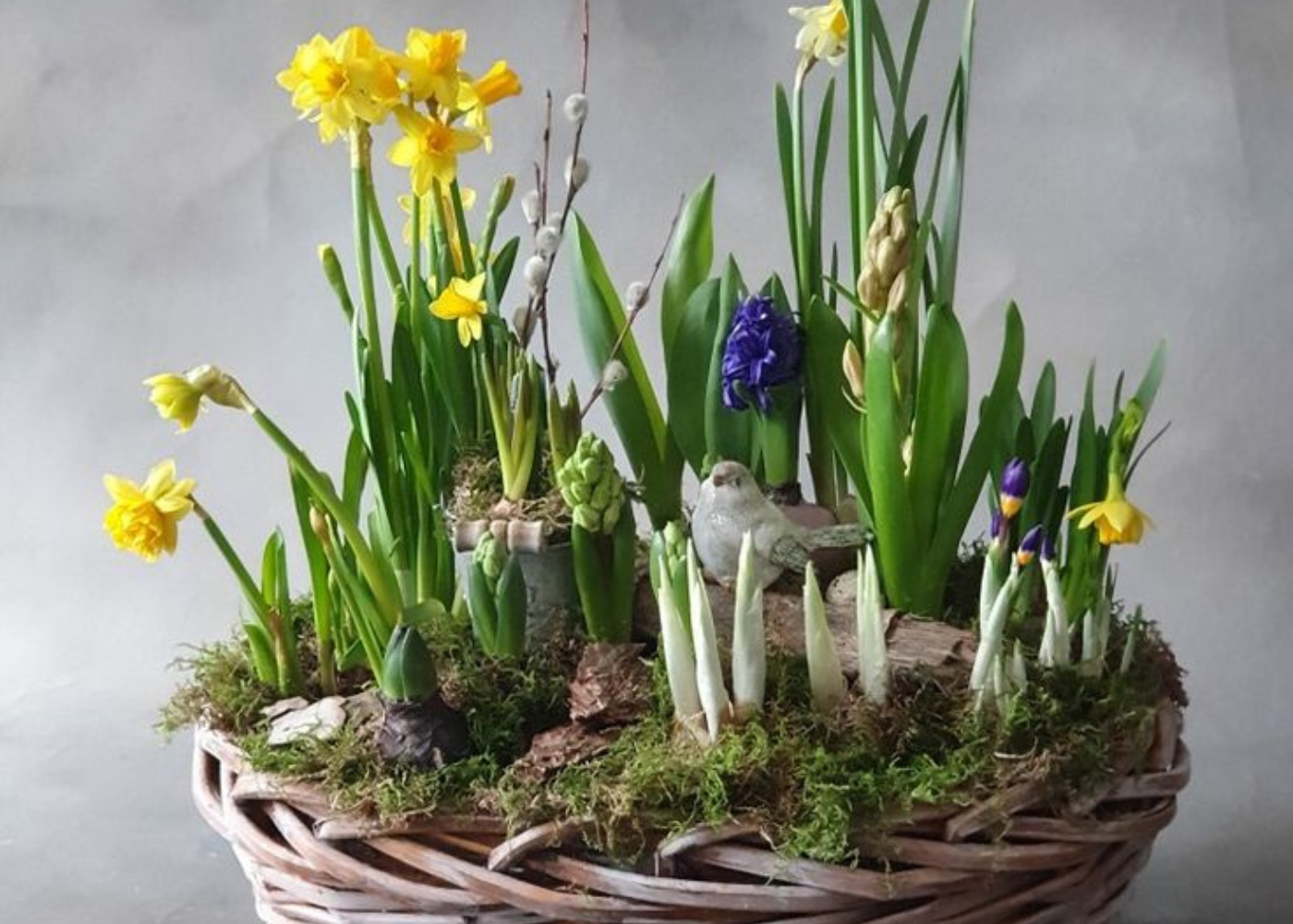 Interior Spring Planter Workshop